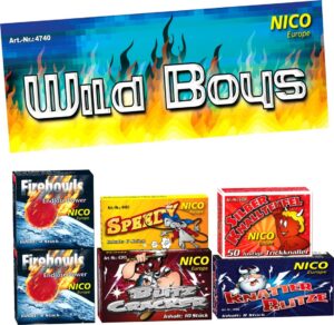 Wild Boys Feuerwerk von Nico