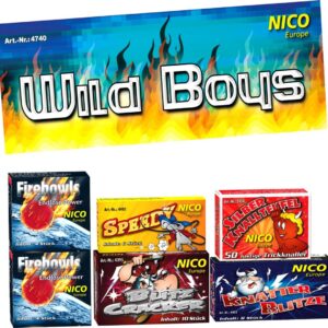 Wild Boys Feuerwerk von Nico